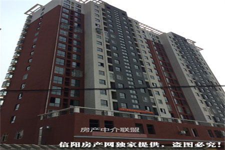 南湖稀缺顶跃花园房，住家户精装修品质有保障